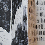 Gionna Forte-Towaco, USA