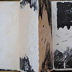 Gionna Forte-Towaco, USA