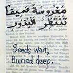 Mutanabbi Starts Here